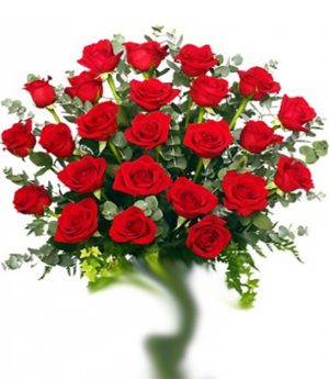 Rose Équateur<br/>50 cm